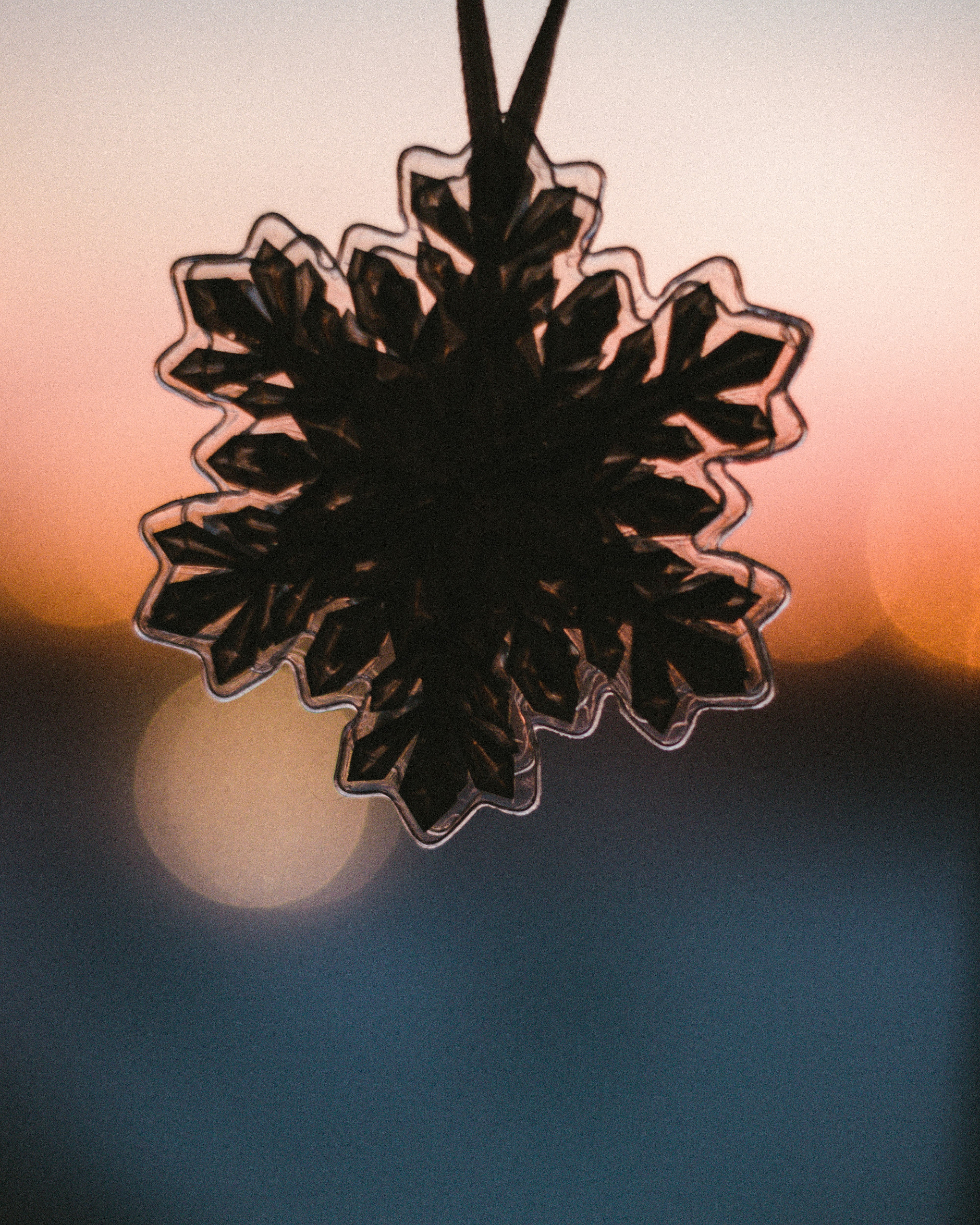 black and white flower in close up photography